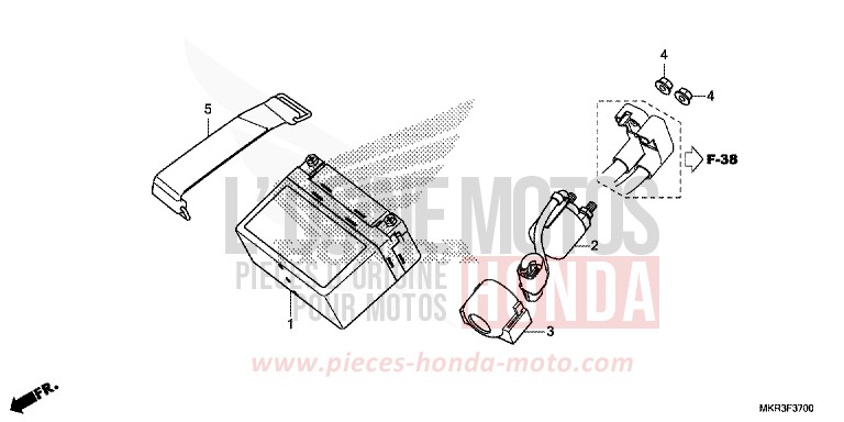 FAISCEAU DES FILS von CBR1000RR SP SP1 SP2 GRAND PRIX RED (R380) von 2020